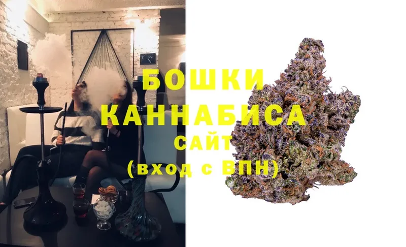 сколько стоит  omg   МАРИХУАНА SATIVA & INDICA  Курган 